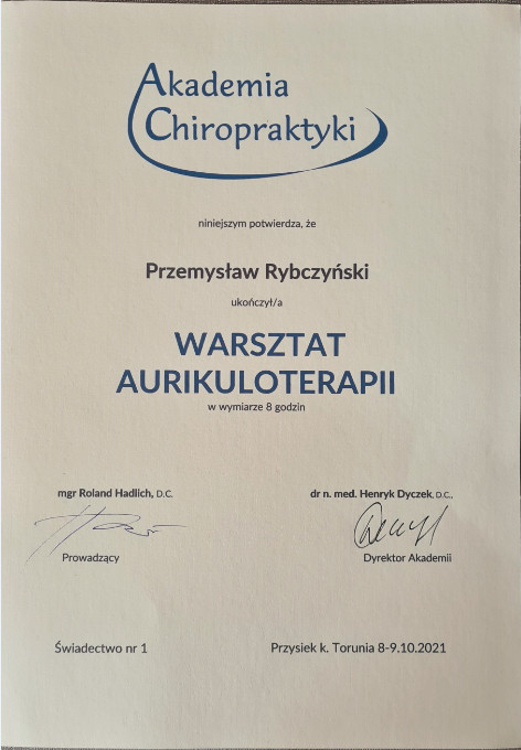 Certyfikat i dyplom chiropraktyki, Przemyslaw Rybczynski, chiropraktyk Poznan, skan 6