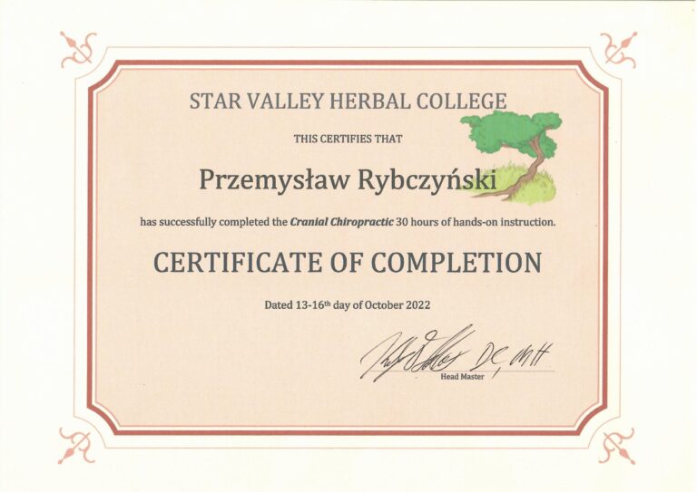 Certyfikat i dyplom chiropraktyki, Przemyslaw Rybczynski, chiropraktyk Poznan, skan 9