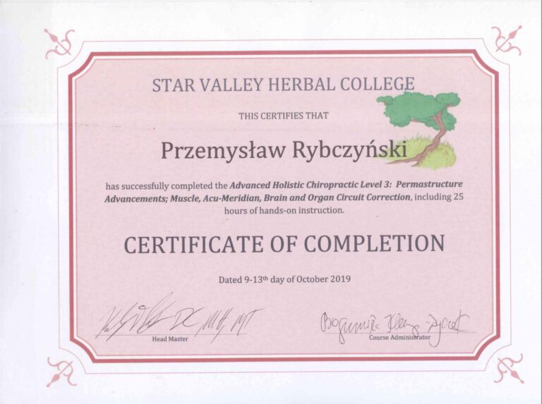 Certyfikat i dyplom chiropraktyki, Przemyslaw Rybczynski, chiropraktyk Poznan, skan 10