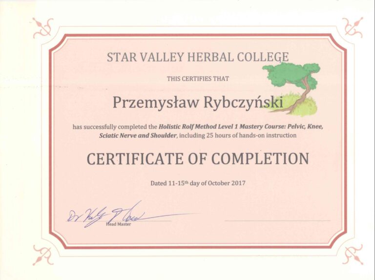 Certyfikat i dyplom chiropraktyki, Przemyslaw Rybczynski, chiropraktyk Poznan, skan 12
