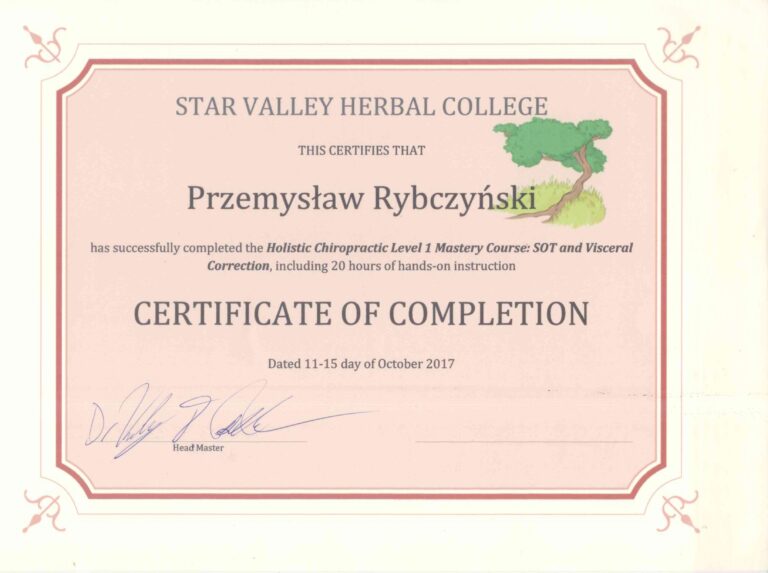 Certyfikat i dyplom chiropraktyki, Przemyslaw Rybczynski, chiropraktyk Poznan, skan 13