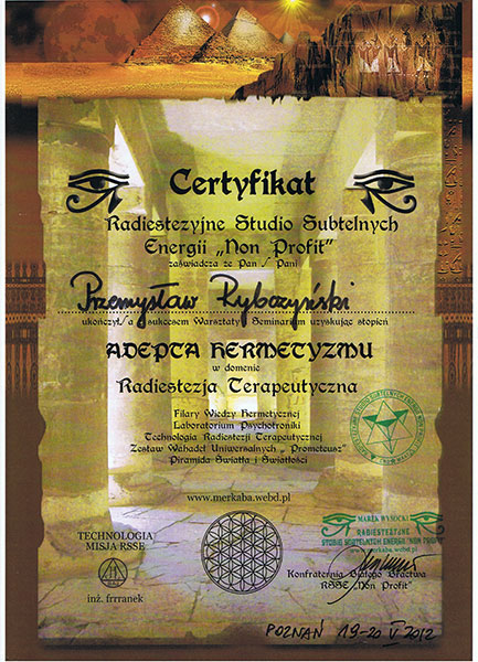 Certyfikat i dyplom chiropraktyki, Przemyslaw Rybczynski, chiropraktyk Poznan, skan 38