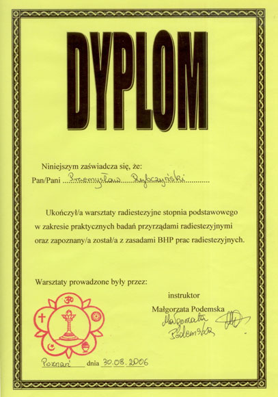 Certyfikat i dyplom chiropraktyki, Przemyslaw Rybczynski, chiropraktyk Poznan, skan 41