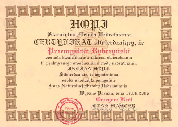 Certyfikat i dyplom chiropraktyki, Przemyslaw Rybczynski, chiropraktyk Poznan, skan 42